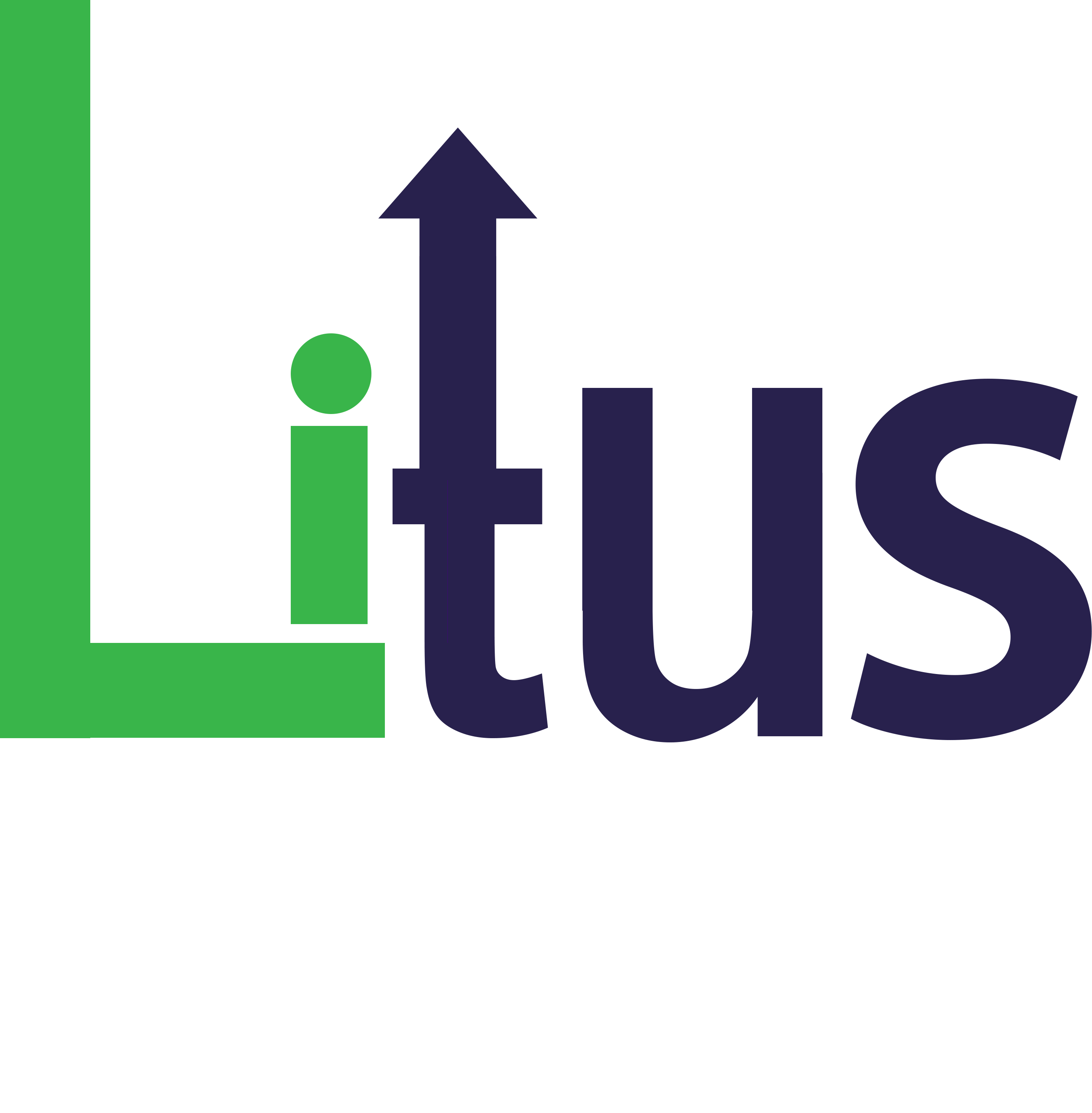 Litus Inc.